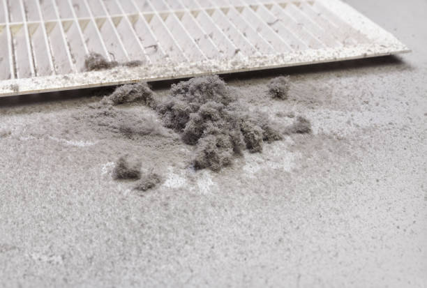 Best Ductwork Cleaning Services  in Arcola, IL