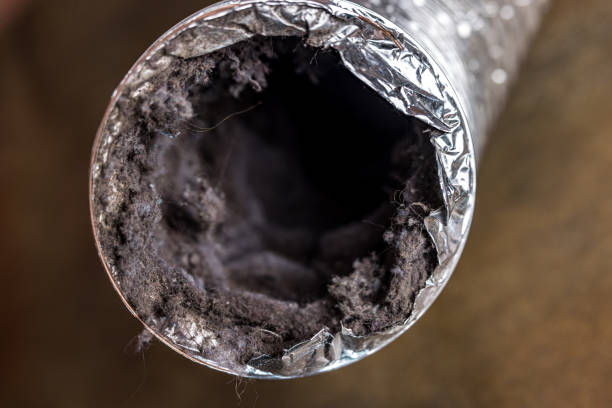 Best Best Air Duct Cleaning Company  in Arcola, IL