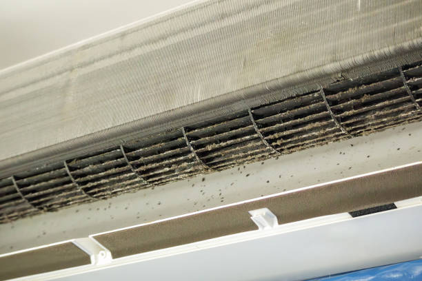 Best Air Duct Cleaning Near Me  in Arcola, IL